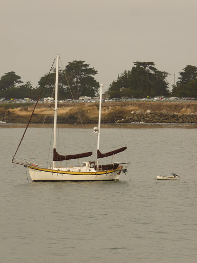 Coffee Shop «Santa Cruz Coffee Roasting Co.», reviews and photos, 1330 Pacific Ave, Santa Cruz, CA 95060, USA