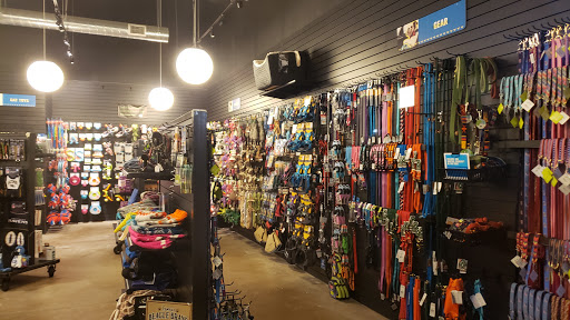 Pet Store «Dogma - Life, With Your Pet.», reviews and photos, 1719 Whetstone Way, Baltimore, MD 21230, USA