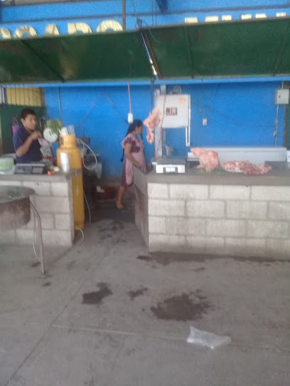 Carnicería Bobadilla - Rayón 4, Barrio de los Dolores, 41060 De los Dolores, Gro., Mexico