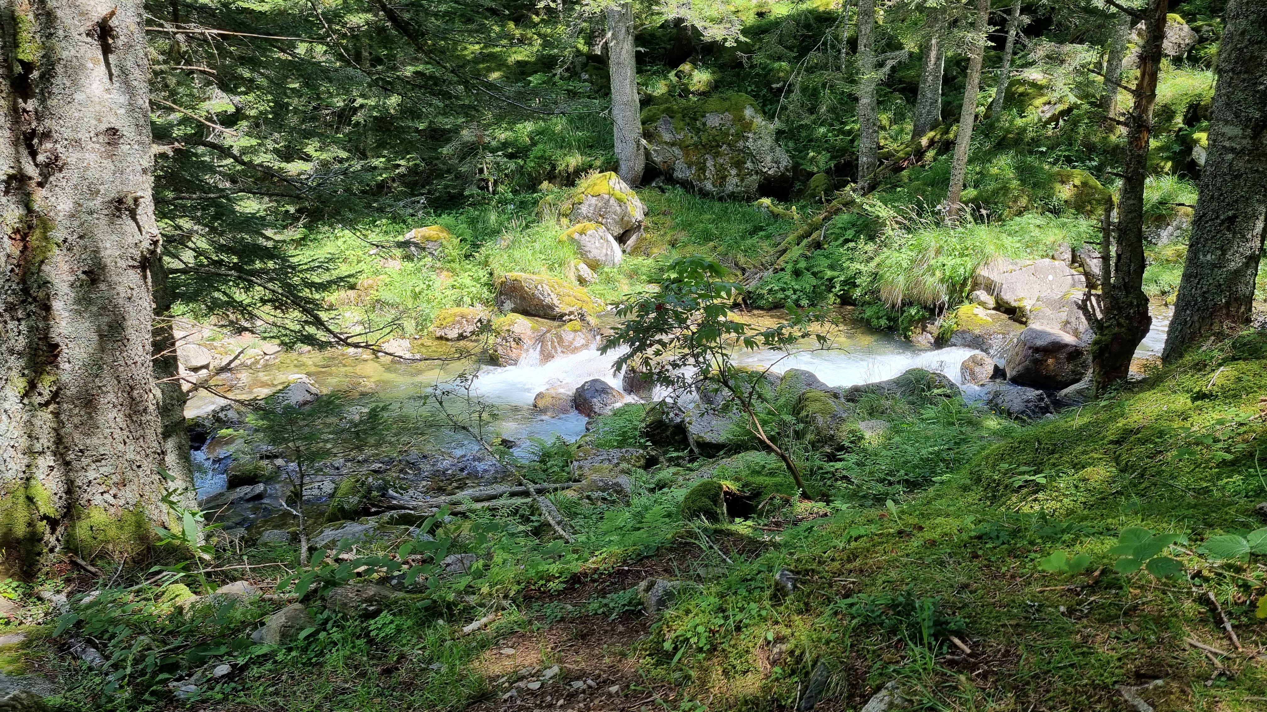 Photo n° 2 de l'avis de Clément.e fait le 12/08/2021 à 12:24