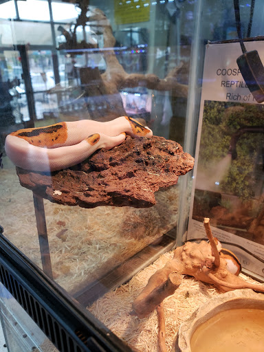 Pet Store «Fish-N-Pets Unlimited», reviews and photos, 11710 Bissonnet St, Houston, TX 77099, USA