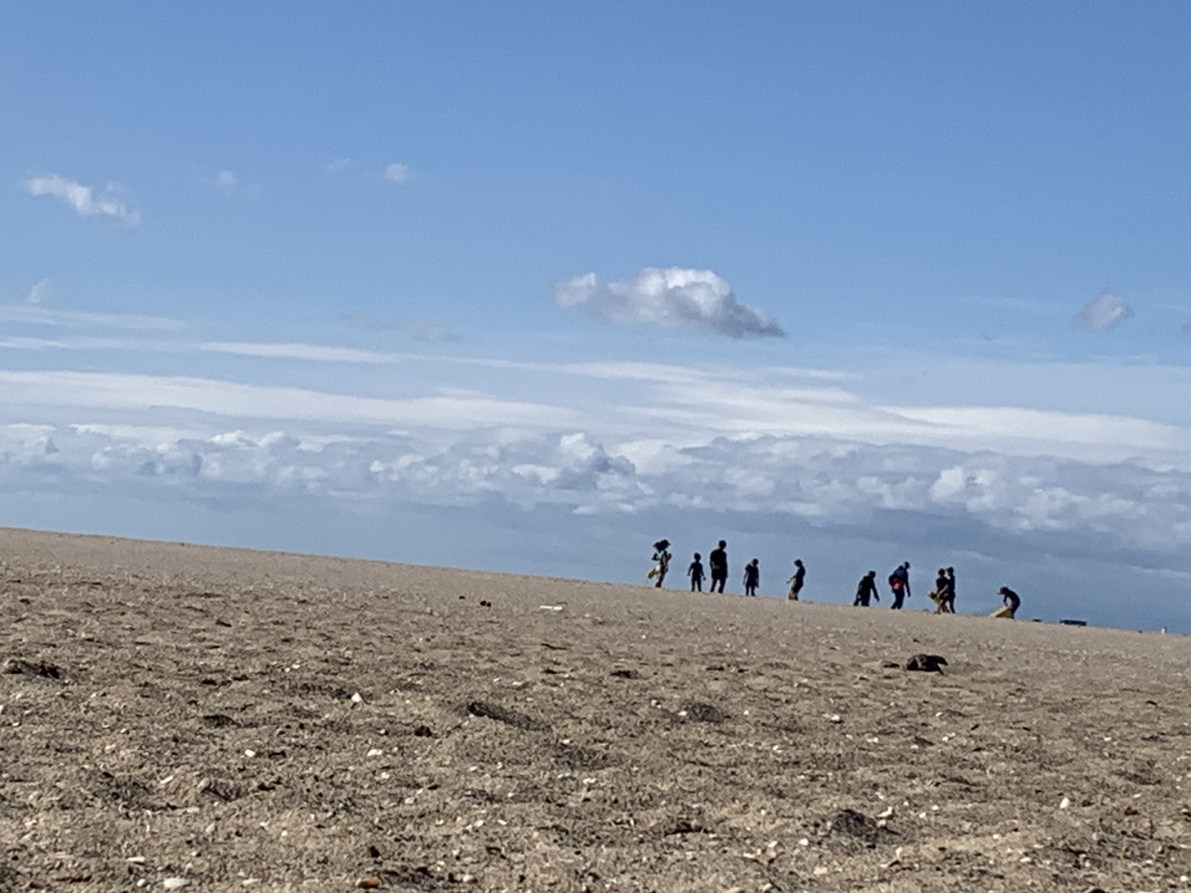 Photo n° 1 de l'avis de ludarie.a fait le 17/03/2024 à 11:22