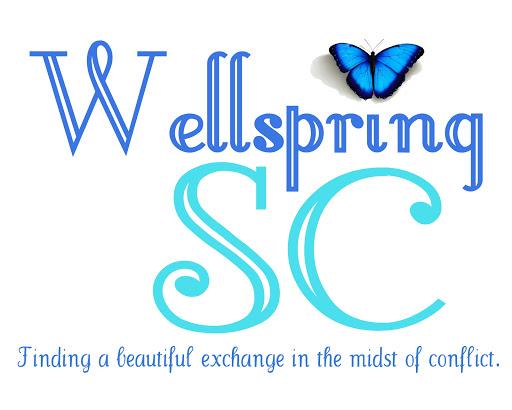 Thrift Store «Wellspring Treasures», reviews and photos, 1600 John B White Sr Blvd #1008, Spartanburg, SC 29301, USA