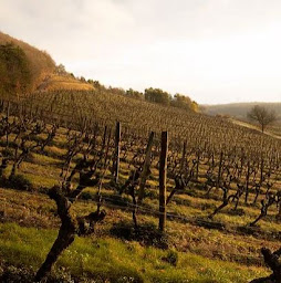 Photo n°10 de jlpgoodwines à Noirmoutier-en-l'Île ()