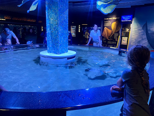 Aquarium «North Carolina Aquarium at Pine Knoll Shores», reviews and photos, 1 Roosevelt Blvd, Pine Knoll Shores, NC 28512, USA