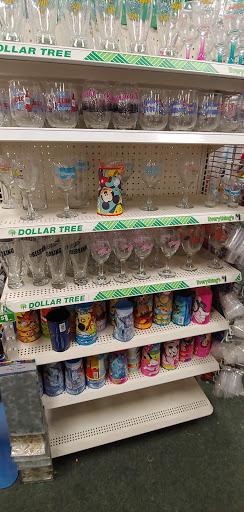 Dollar Store «Dollar Tree», reviews and photos, 10600 France Ave S, Bloomington, MN 55431, USA