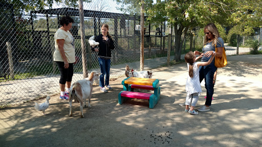 Zoo «Special Memories Zoo», reviews and photos, W7013 Spring Rd, Greenville, WI 54942, USA