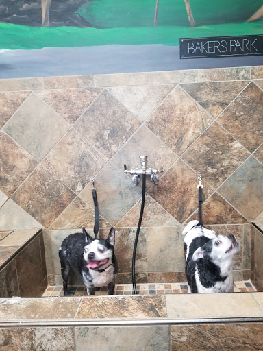 Pet Supply Store «Pet Valu», reviews and photos, 1305 West Seventh Street #28, Frederick, MD 21702, USA