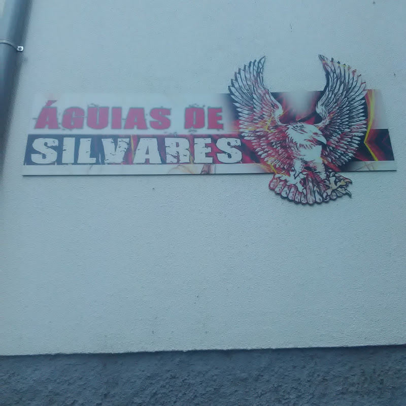 Águias de Silvares - Associação de Defesa dos Jogos Tradicionais