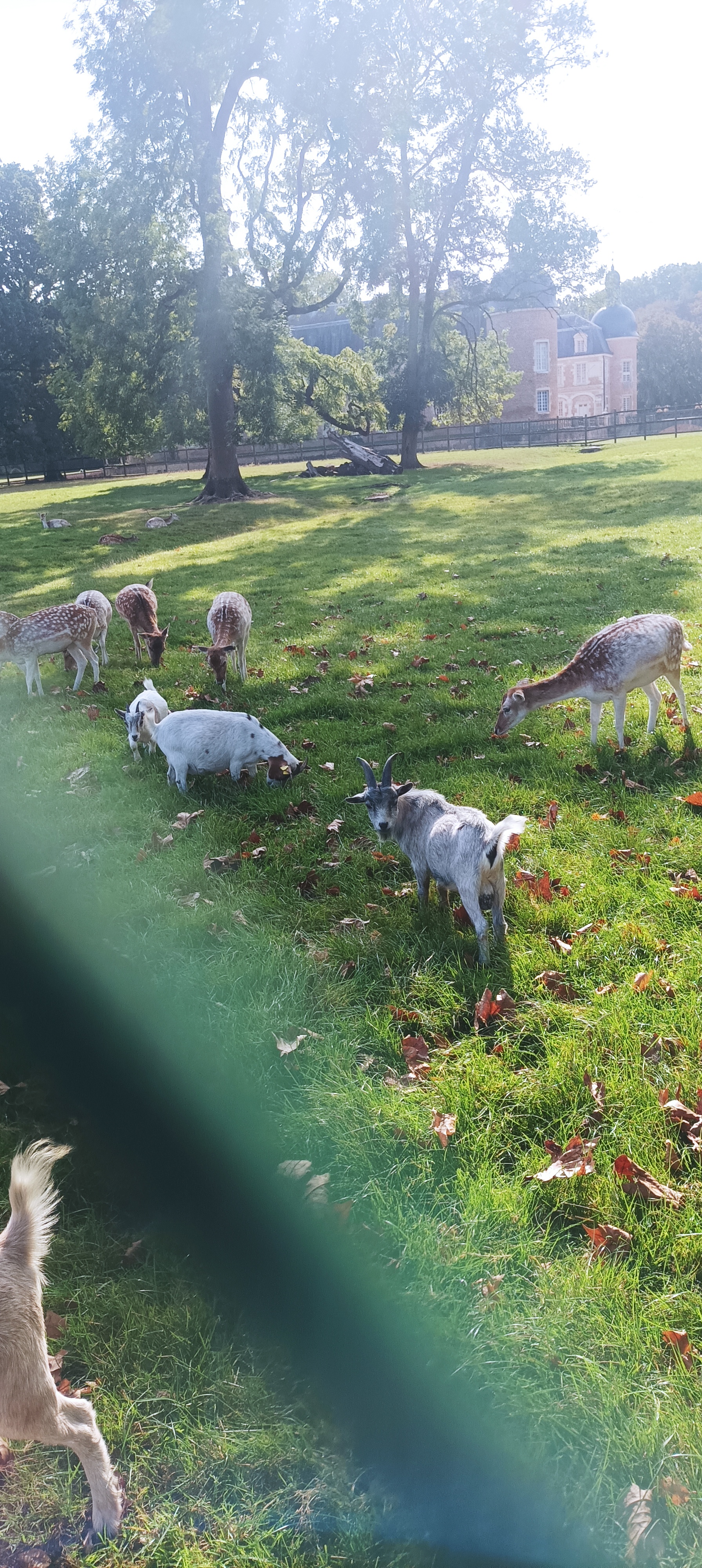 Photo n° 4 de l'avis de Didier.t fait le 12/10/2023 à 09:06