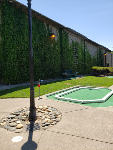 Sonoma Family Fun Center image