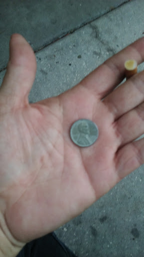 Dollar Store «Dollar Tree», reviews and photos, 7089 W Waters Ave, Tampa, FL 33634, USA