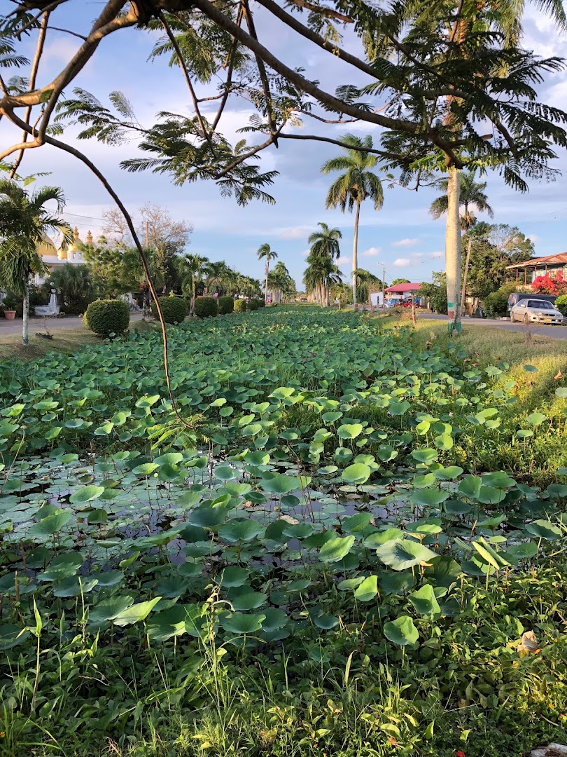 Nieuw Nickerie, Surinam