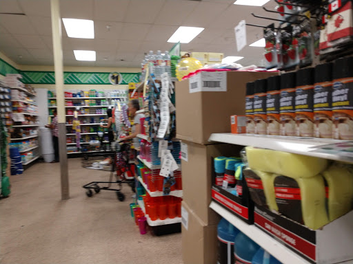 Dollar Store «Dollar Tree», reviews and photos, 11910 Valley Blvd, El Monte, CA 91732, USA