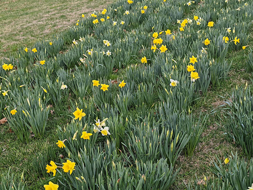 Veterans Park (Newtown)