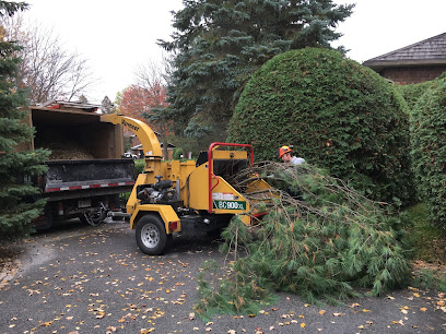 Independent Tree Care