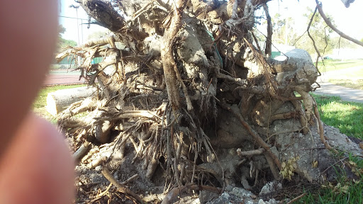 Park «Continental Park», reviews and photos, 1000 SW 82nd Ave, Kendall, FL 33156, USA