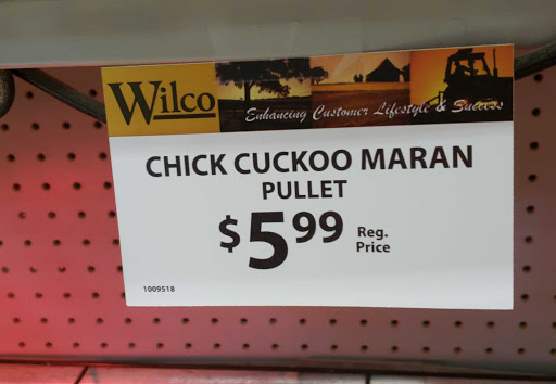 Animal Feed Store «Wilco Farm Store», reviews and photos, 1905 NE Four Acre Pl, Corvallis, OR 97330, USA