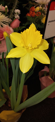 Grocery Store «Family Fare Supermarket», reviews and photos, 1100 13th Ave E, West Fargo, ND 58078, USA