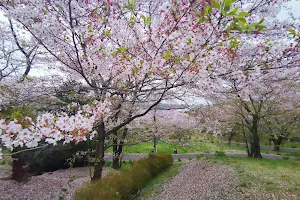 Sakuranoyama Park image