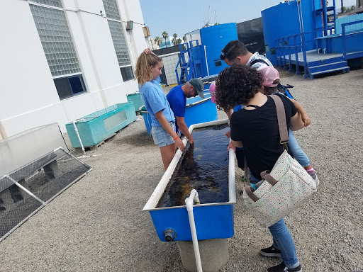 Aquarium «The SEA Lab», reviews and photos, 1021 N Harbor Dr, Redondo Beach, CA 90277, USA