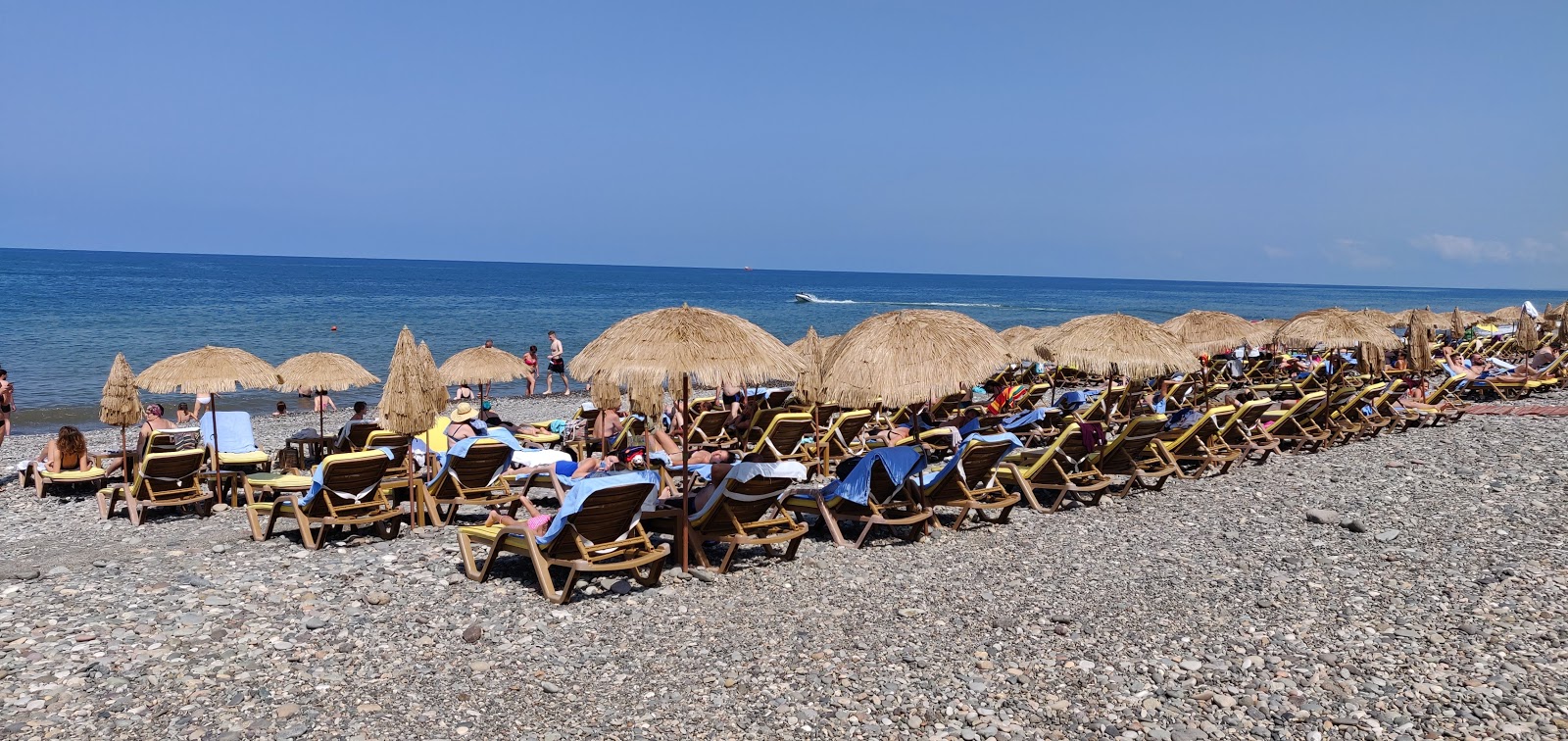 Photo de Oasis beach situé dans une zone naturelle