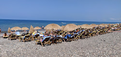 Photo de Oasis beach situé dans une zone naturelle