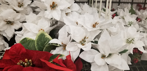 Craft Store «Michaels», reviews and photos, 2855 N 19th Ave b, Bozeman, MT 59718, USA