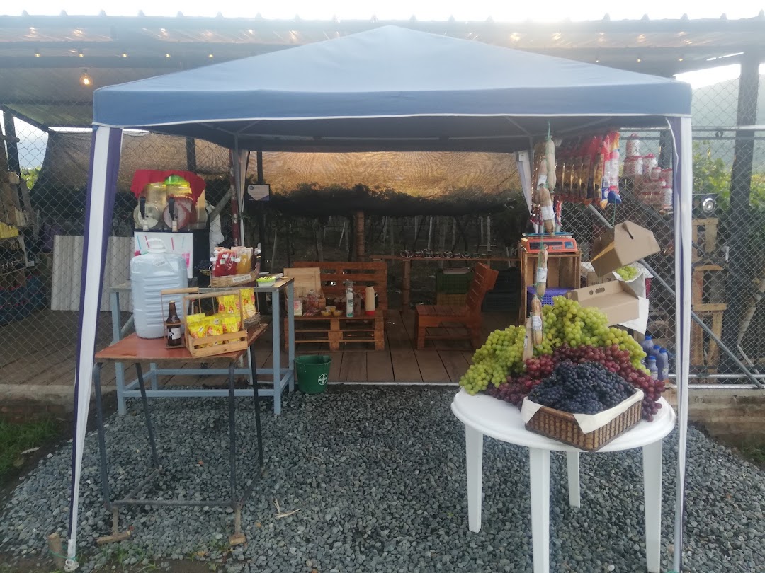 LA VITIS DE VILLA CLAUDIA