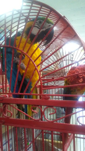 Pet Store «Pet Source 1901», reviews and photos, 1901 W 8th St B, Los Angeles, CA 90057, USA