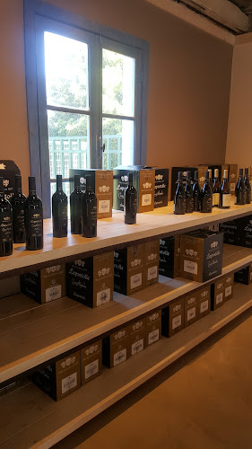 Lapostolle Wine Store - Centro comercial