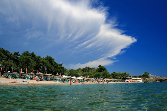 Yolo's beach II