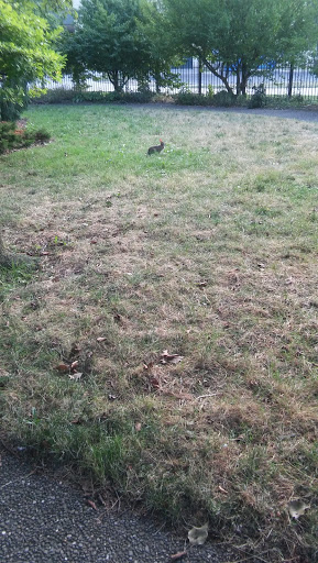 Science Museum «Buffalo Museum of Science», reviews and photos, 1020 Humboldt Pkwy, Buffalo, NY 14211, USA