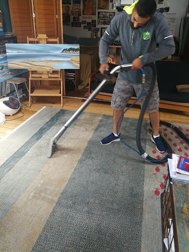 Reviews of Mrgreencarpets Carpet & Upholstery Cleaning in Lower Hutt - House cleaning service