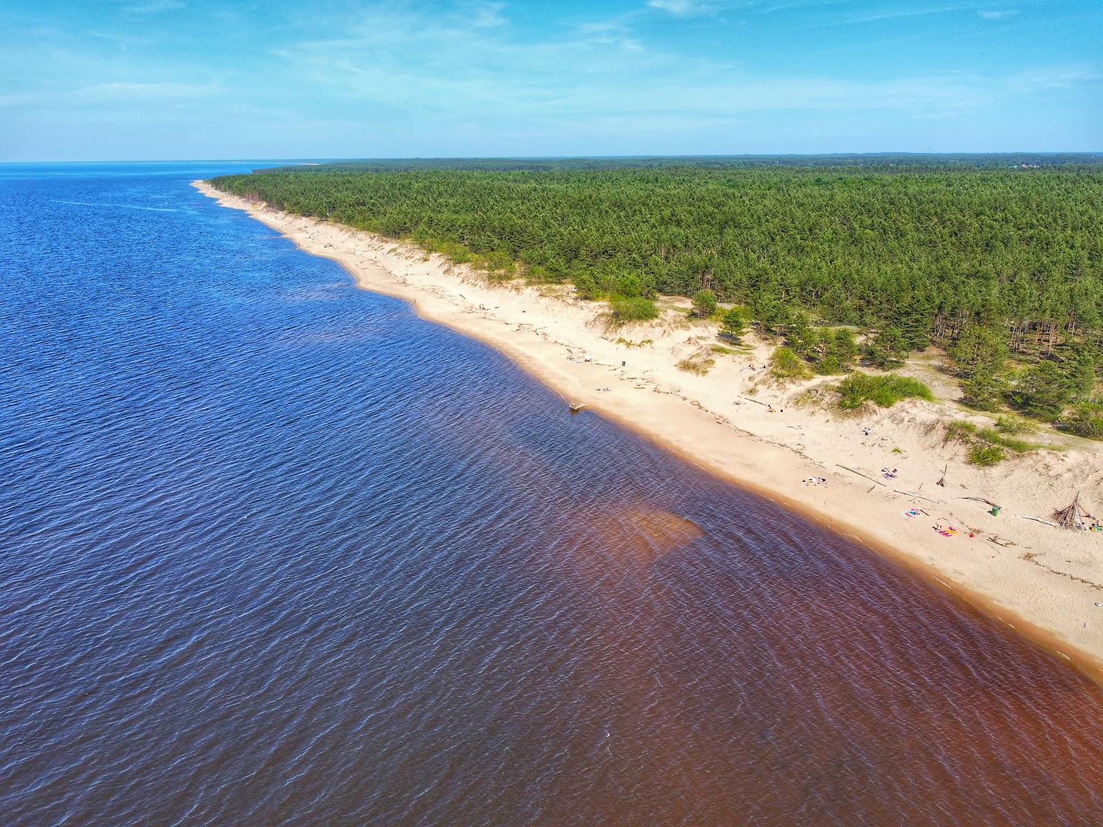 Photo of Carnikava beach with long straight shore