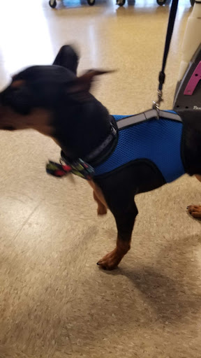 Pet Supply Store «PetSmart», reviews and photos, 4151 Turtle Creek Dr, Coral Springs, FL 33067, USA