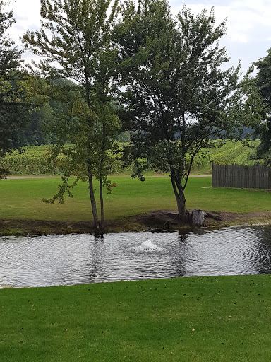 Winery «Domaine Berrien Cellars», reviews and photos, 398 E Lemon Creek Rd, Berrien Springs, MI 49103, USA