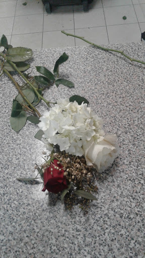 Florist «Flowers by Emil», reviews and photos, 7305 18th Ave, Brooklyn, NY 11204, USA