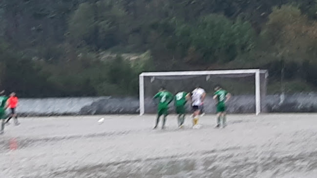 Campo da Arcela Horário de abertura