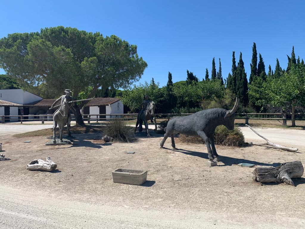 Photo n° 1 de l'avis de Sandrine.e fait le 21/07/2020 à 15:45