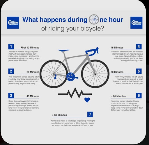 Bicycle Store «Cyclepath of San Mateo», reviews and photos, 1212 S El Camino Real, San Mateo, CA 94402, USA