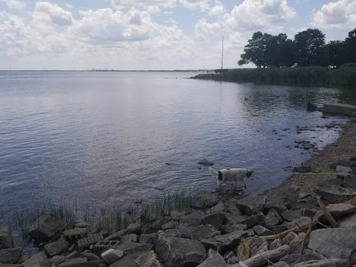 Used Book Store «Oak Knoll Books», reviews and photos, 310 Delaware St, New Castle, DE 19720, USA