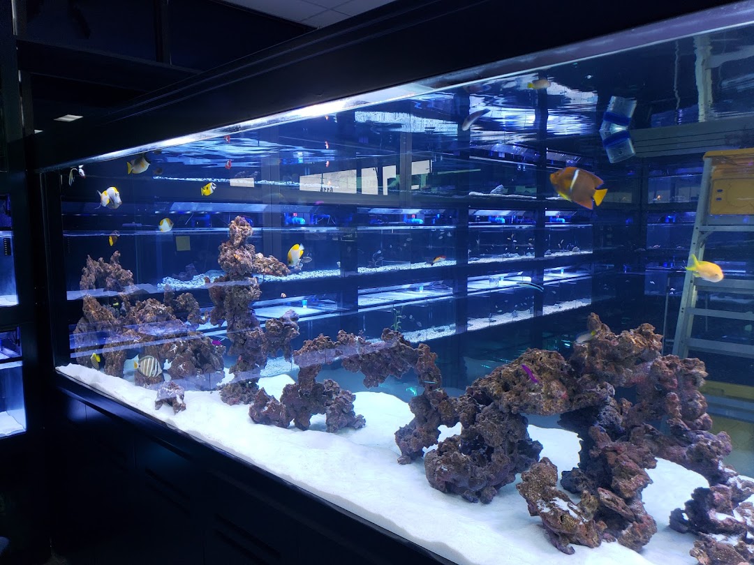 Nemo & Friends Aquariums