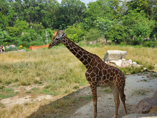 Zoo «Desert Dome & Kingdoms of the Night», reviews and photos, 3701 S 10th St, Omaha, NE 68108, USA