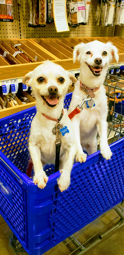 Pet Supply Store «PetSmart», reviews and photos, 7290 W Bell Rd, Glendale, AZ 85308, USA