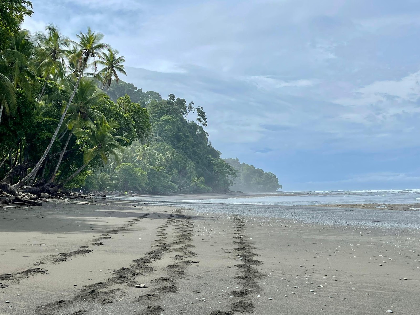 Zdjęcie Playa Banco z powierzchnią piasek z kamykami