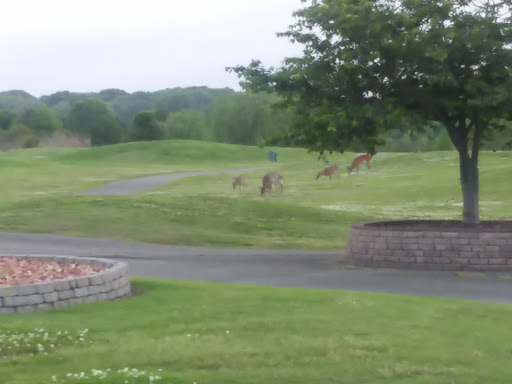 Public Golf Course «Hamptons Golf Course», reviews and photos, 320 Butler Farm Rd, Hampton, VA 23666, USA