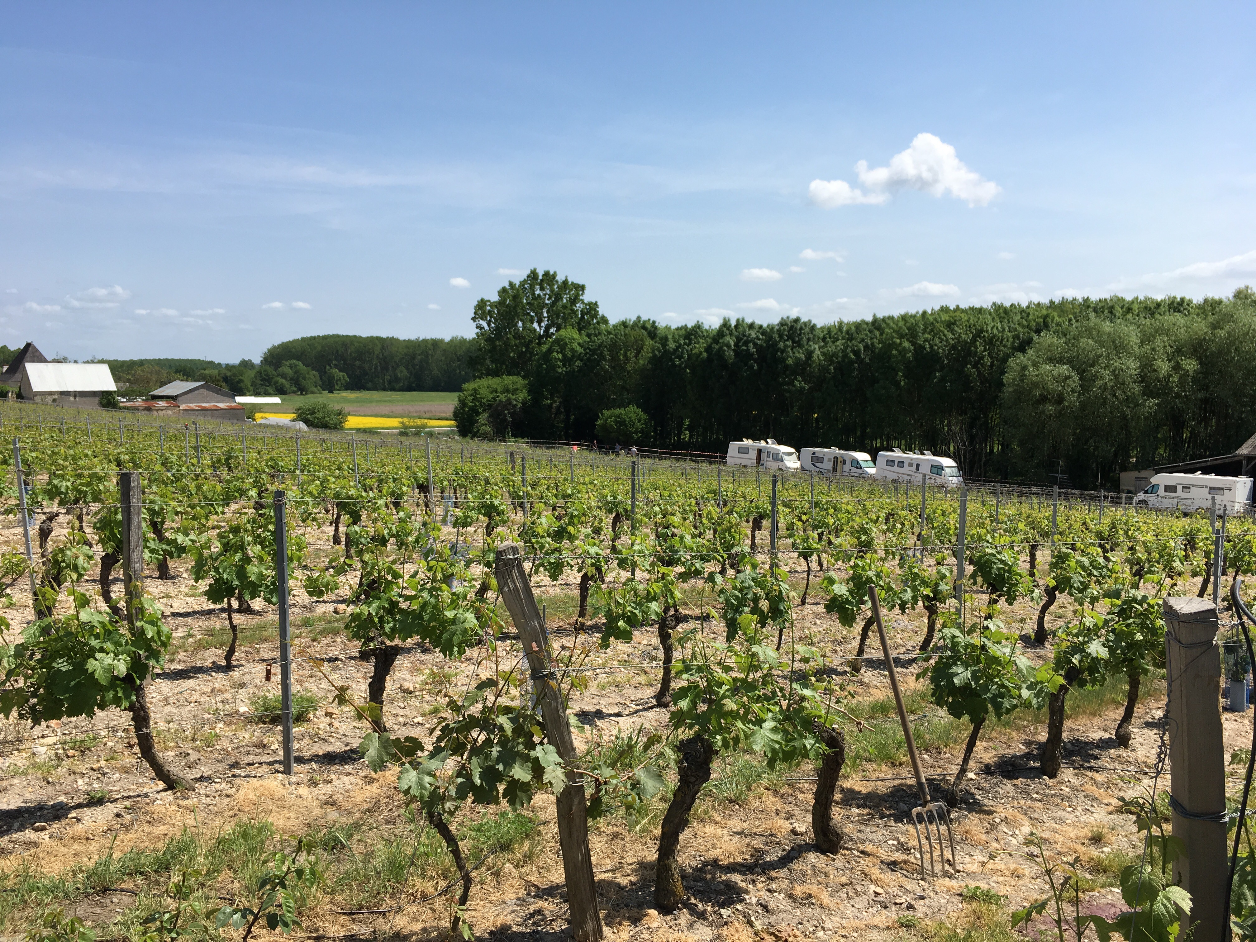 Photo n° 1 de l'avis de E.E fait le 09/05/2018 à 12:57