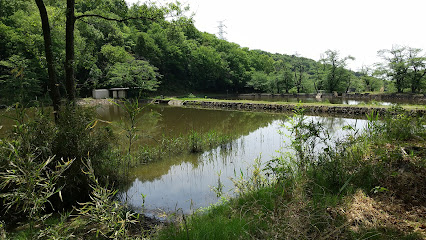 菅塩沼(へら鮒池)