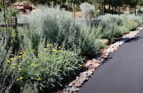 Water Wise Landscape - Palm Desert Landscaping - Photo 6 - Car repair in Palm Desert, CA, Indio